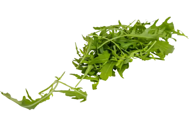 Arugula cress 20gr piece